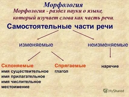 Какой вид не является научным