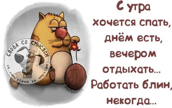 Спать хочется. Хочу смешных. Я хочу жрать. Хочу смешных. Я хочу кушать.