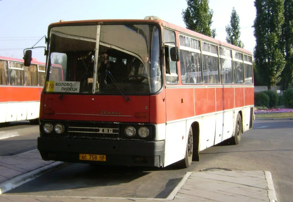 Икарус 256. Автобусы волово. Автобусы елец. Автобус лебедянь липецк. Марз 42191-01.