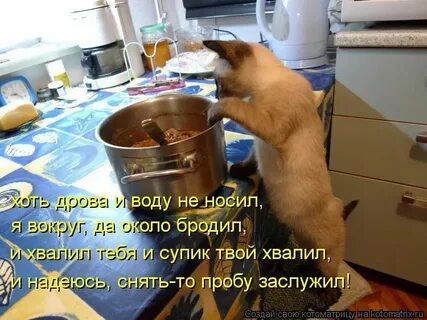 Прям на стол она расселась с