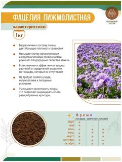 Фацелия семена когда сажать