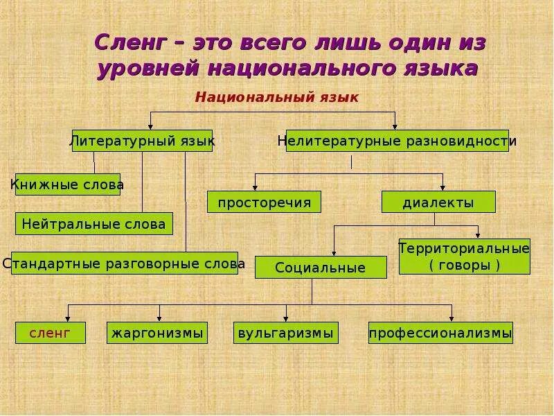 Разновидности сленга. Виды сленга схема. Виды сленга в русском. Виды сленга в английском языке.