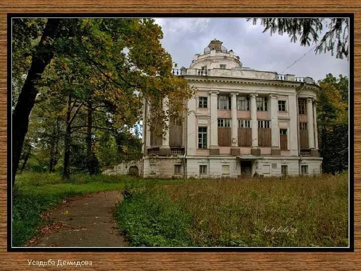 Работа в тайцах. Парк усадьбы Демидовых Тайцы. Тайцы (усадьба Демидовых в Тайцах). Демидовская усадьба поселок. Тайцы усадьба Демидовых судьбы владельцев.