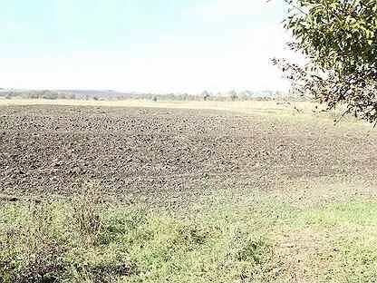 Село казинка ставропольский край шпаковский