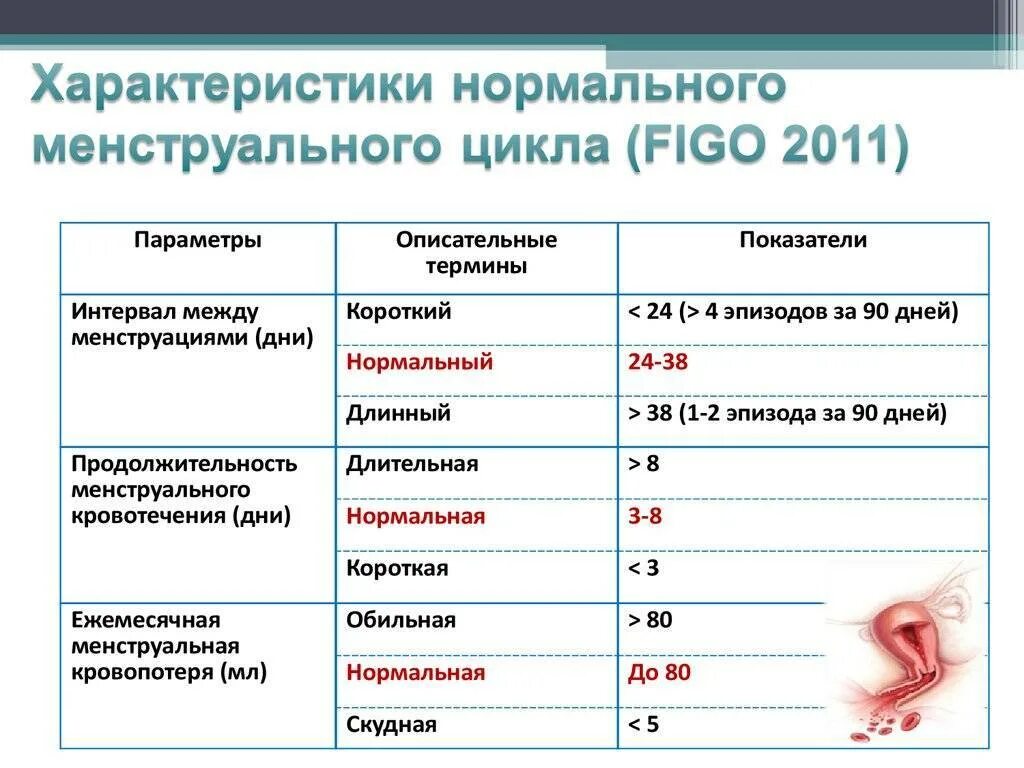 Через сколько дней начинают месячные. Длительность цикла месячных норма. Нормальная кровопотеря менструационного цикла. Месячные сколько дней норма.