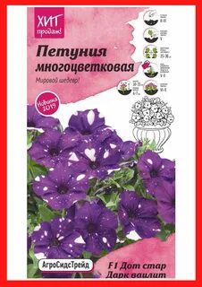 Петуния дот