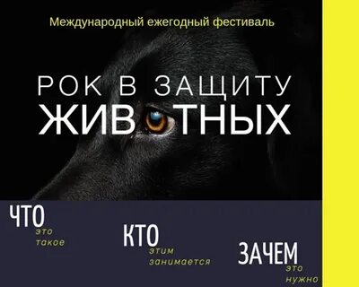 Спасение животных в орске