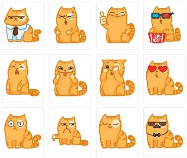 Котик из телеграмма