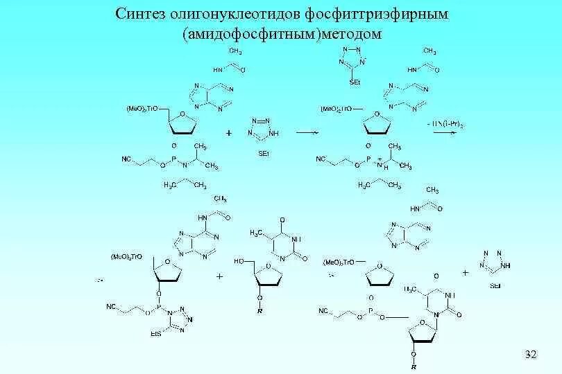 27 синтезы. Фосфорамидитный Синтез олигонуклеотидов. Химический Синтез олигонуклеотидов. Твердофазный Синтез олигонуклеотидов. Фосфотриэфирный метод синтеза олигонуклеотидов.