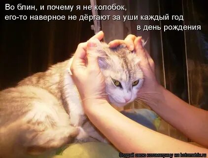 1 день после дня рождения