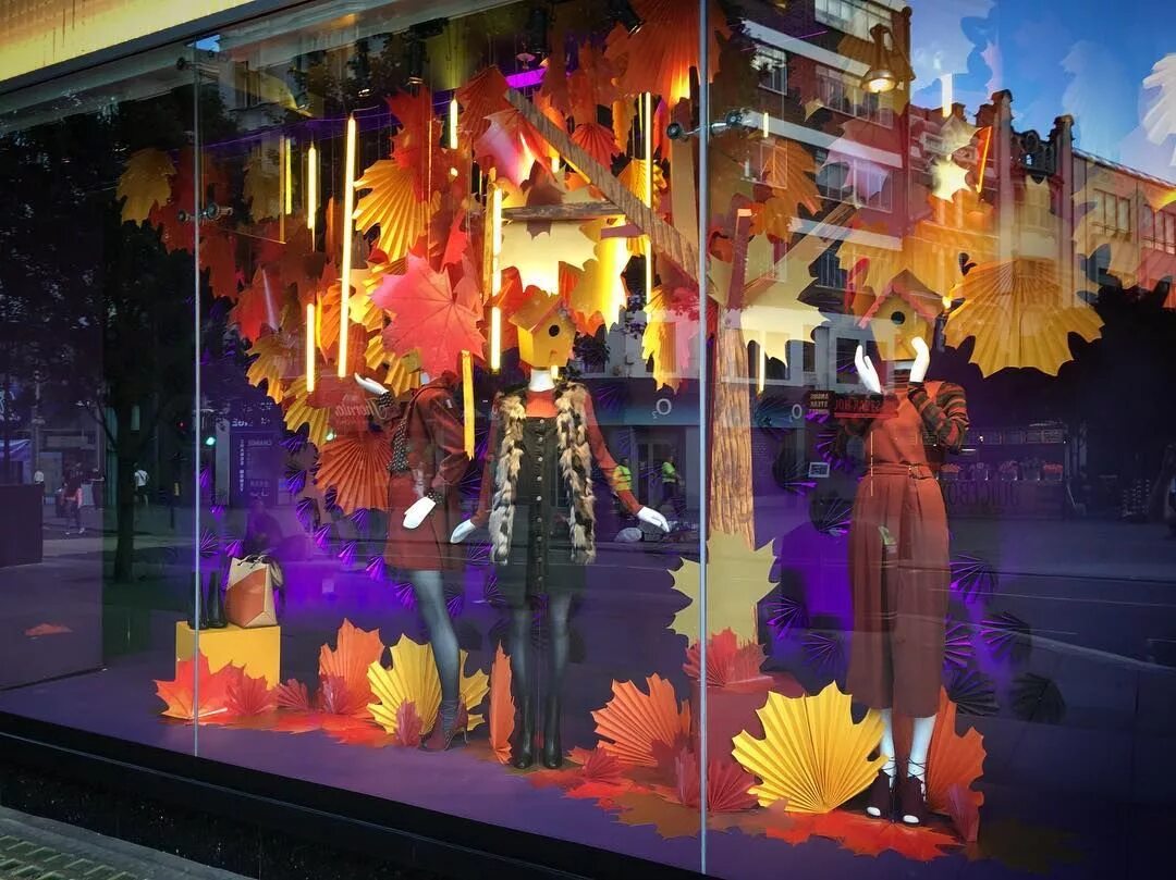 Витрина гиф. Осенний декор витрины. Осеннее украшение витрин. Осенний декор витрины магазина. Красивые витрины магазинов.