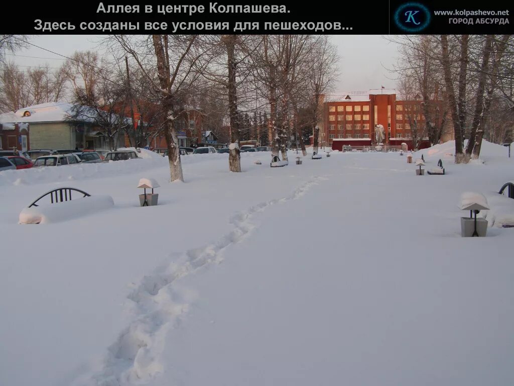 Аллея на улице Белинского Колпашево. Колпашево мэр Колпашево. Аллея по ул Белинского в Колпашево. Колпашево баннер
