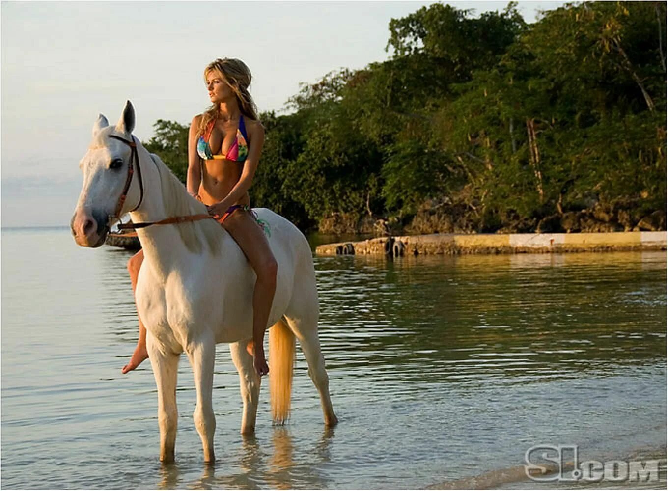 Девушка на лошади в купальнике. Лошадь не фигура девушки. Horse in Swimsuit.