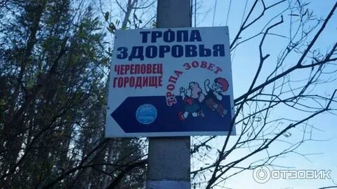Здоровье череповец