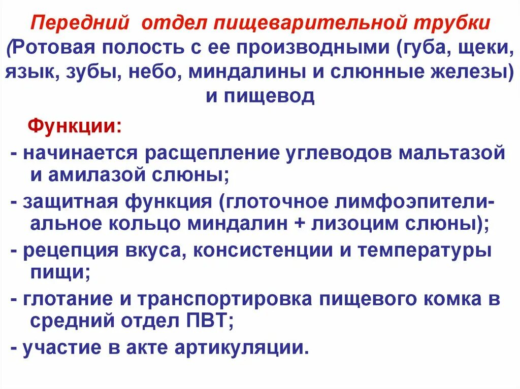 Пищеварительная система человека Выполнил Келдибек Д С Проверил