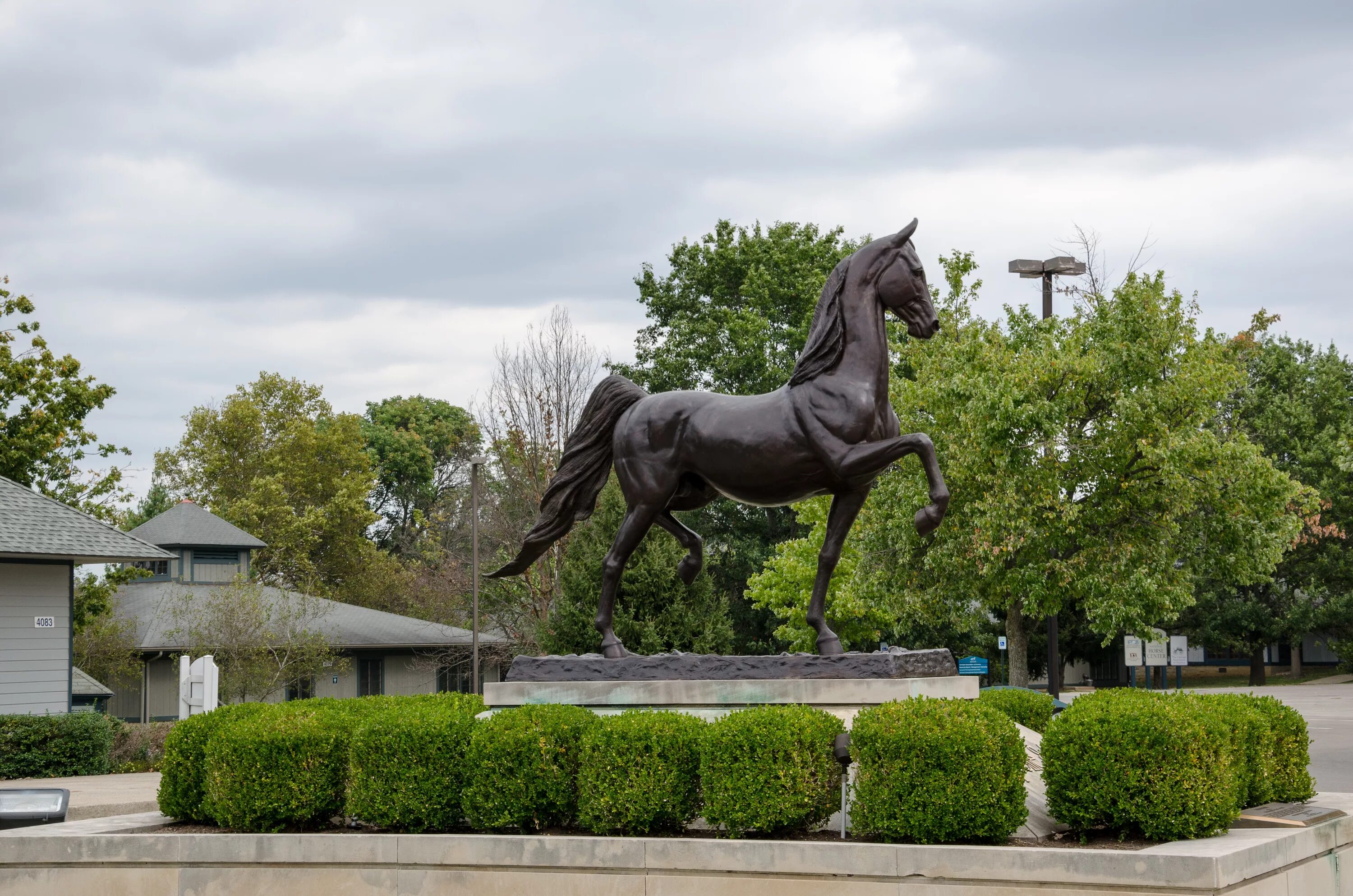 Лошадка в парке. Кентукки конный парк. Штат Кентукки Лексингтон. Столица Кентукки. Кентукки памятник.