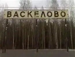 Погода в васкелово ленинградской на 14 дней. Васкелово 1 мед. База 1 меда в Васкелово. Васкелово база отдыха 1 мед. Группа Васкелово и окрестности.