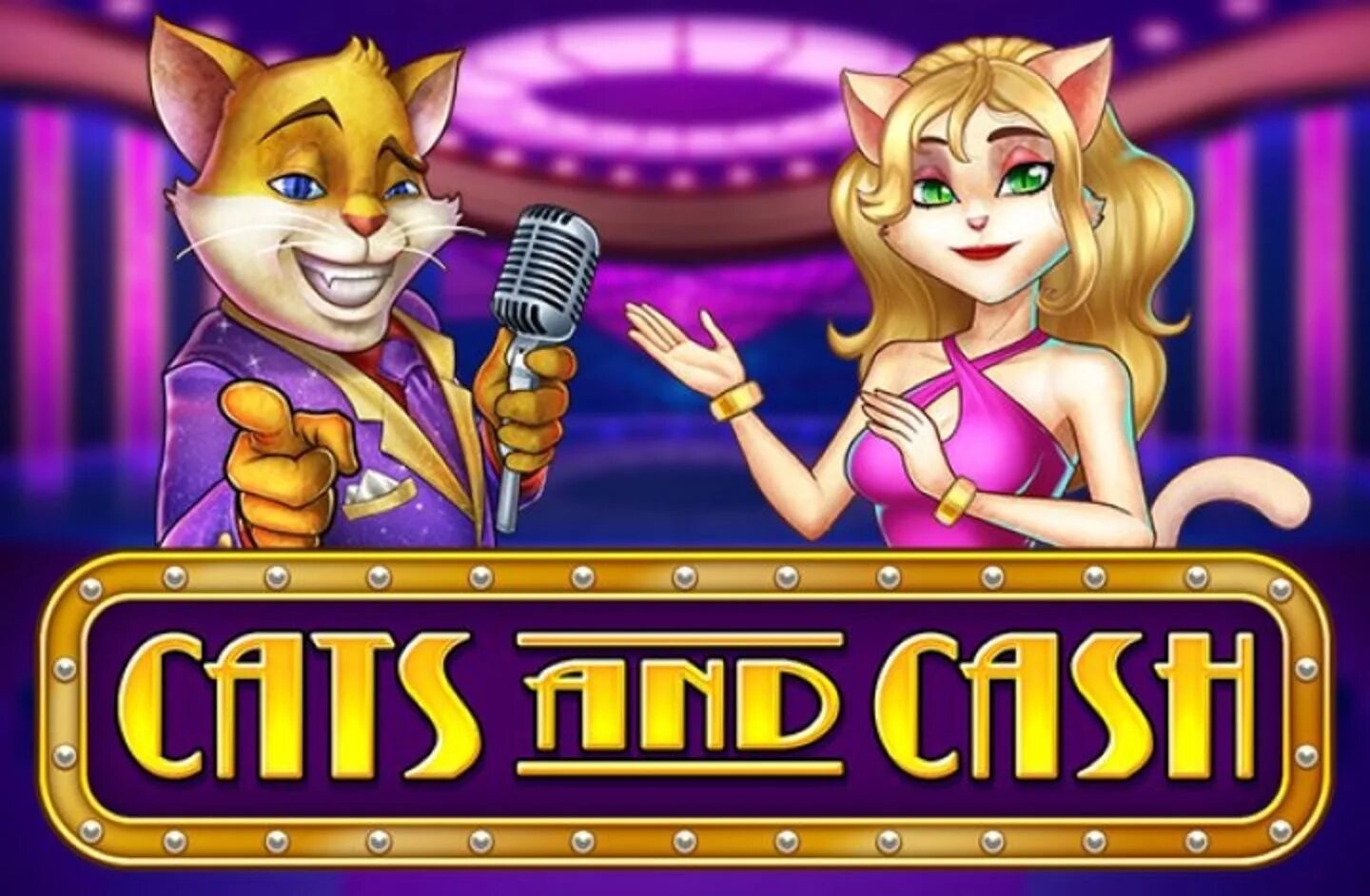 Casino cat official money cat fun. Playn go слоты. Кэш Кэт. Cats and Cash Slot. Слот с кошками.
