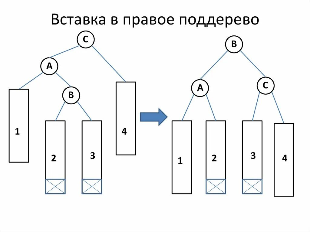 Постройте деревья соответствующие