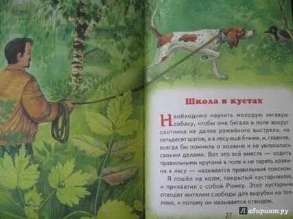 Главная мысль рассказа кустики