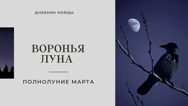 Черный ворон и Луна. Остерегайся мартовского полнолуния. Ворон и Луна цитаты. Нойды книга 3. Остерегайся полнолуния в марте 66