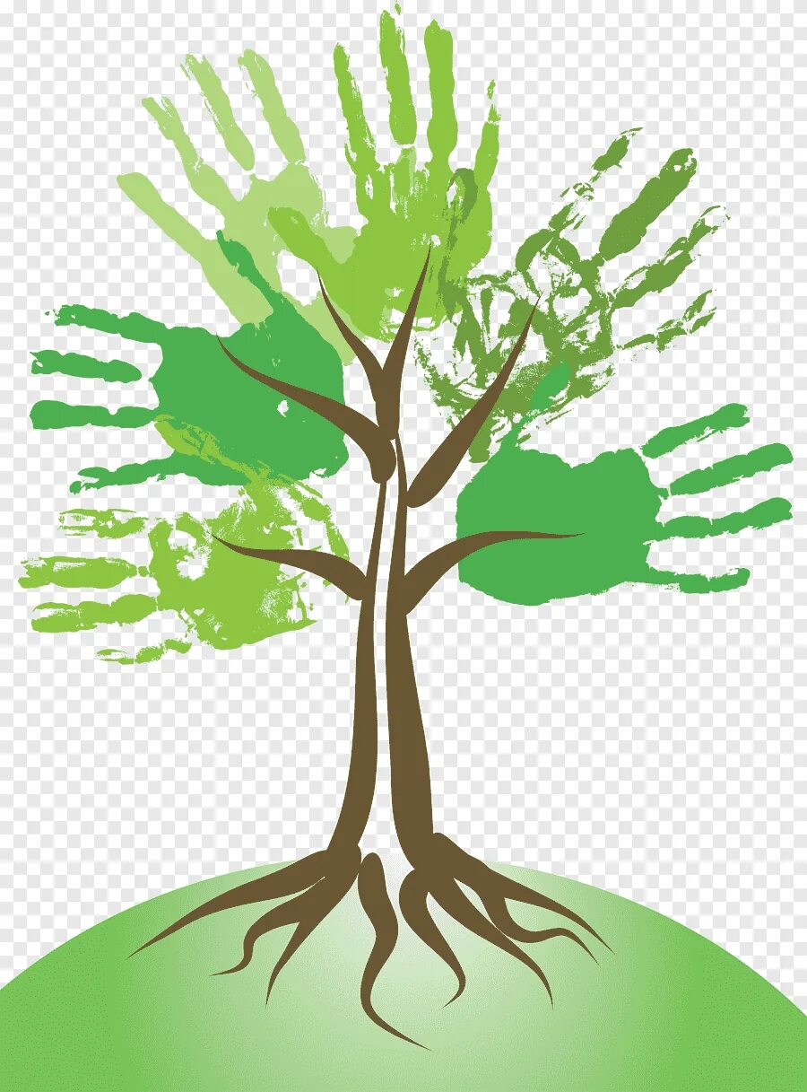 Руки в виде дерева. Зеленое дерево с корнями. Рука в виде дерева. Дерево в руках. Дерево из рук.