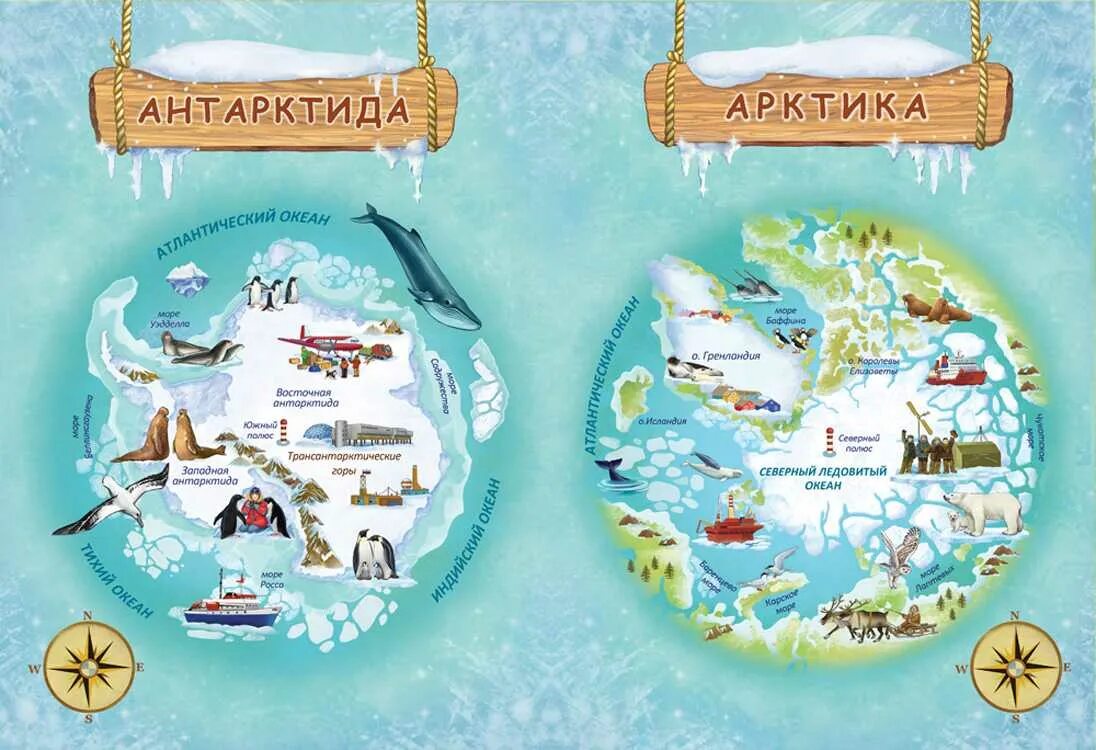 Южный полюс на карте Антарктиды. Арктика и Антарктида на карте. Арктика и Антарктика. Арктика и Антарктида.