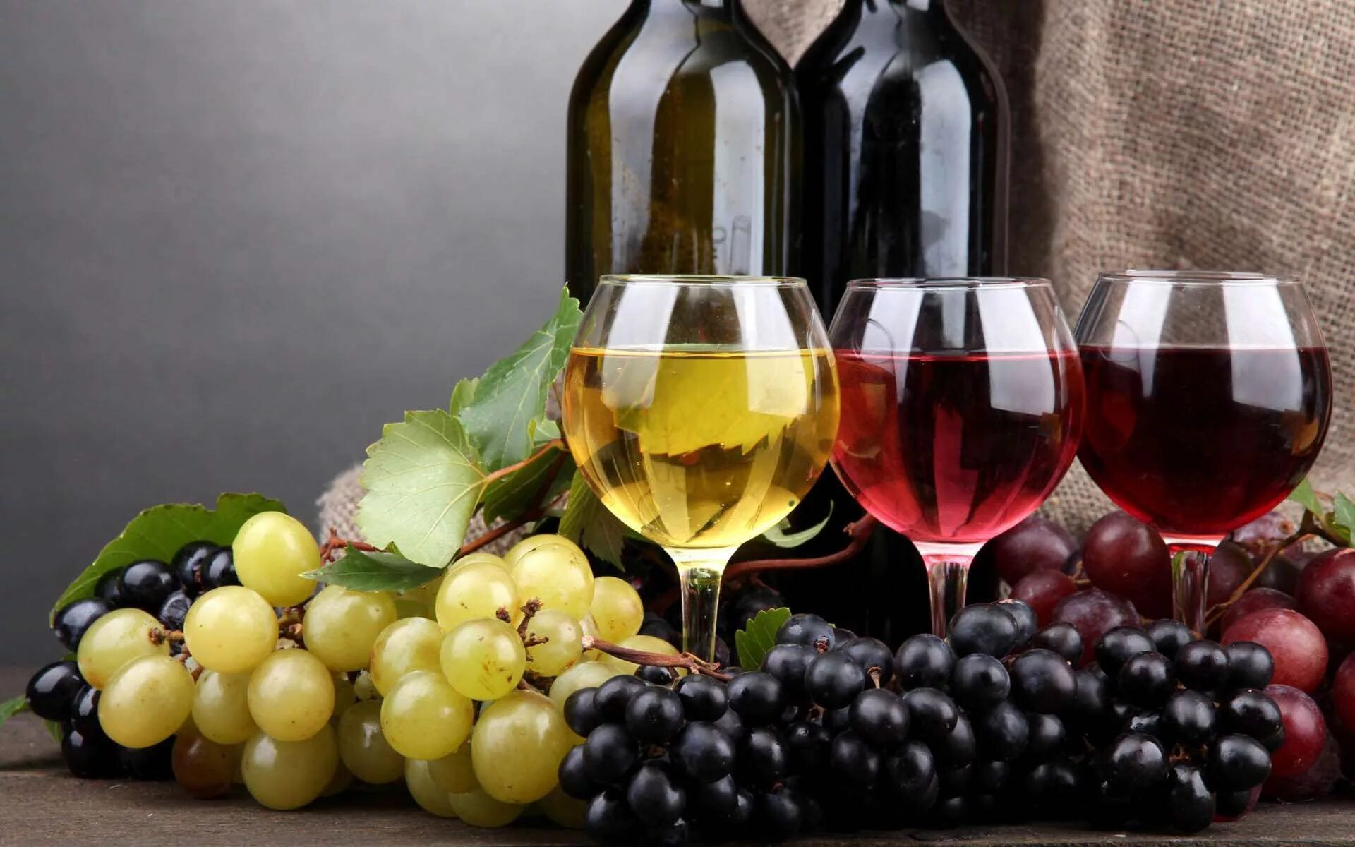 Вино красивые фото. Классификация виноградных вин. Грузия vino vinograd. Красное вино. Выно.