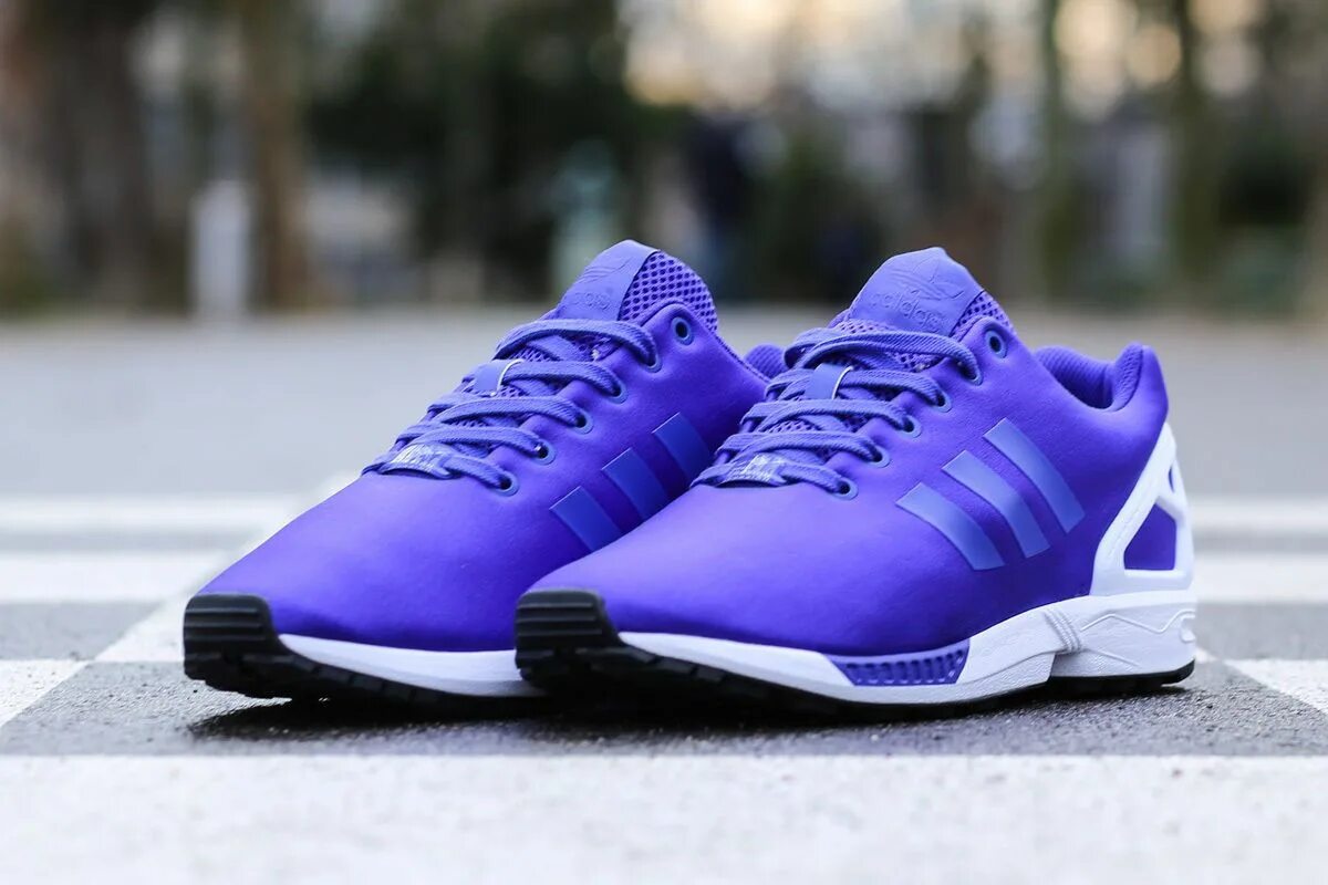 Мужские кроссовки смоленск. Adidas ZX Flux фиолетовые. Adidas Originals ZX Flux Purple. Adidas Torsion кроссовки фиолетовые. ZX Flux adidas Torsion фиолетовый.