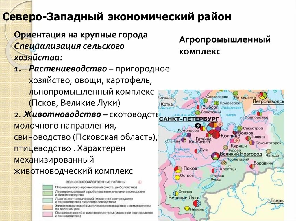 В чем различия специализации сельского хозяйства. Агропром комплекс Северо Западного экономического района. Северо-Западный экономический район отрасли специализации и центры. Отрасли специализации хозяйства Северо Западного района России. Отрасли специализации сельского хозяйства Северо Западного района.