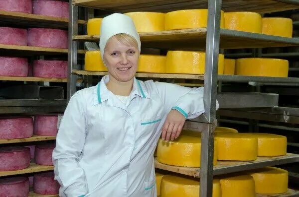 Слуцкий сыродельный комбинат. Слуцкий сыродельный завод. Сыр белоус. Слуцкий молочный комбинат. Филиалы слуцкого сыродельного комбината.