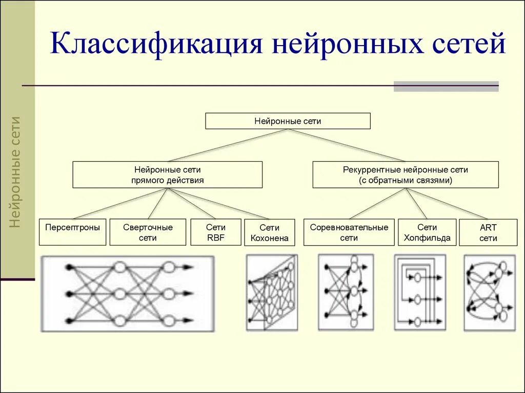 Классификация искусственных нейронных сетей. Схема строения основных типов нейронных сетей. Общая структура нейронной сети. Архитектура искусственных нейронных сетей.