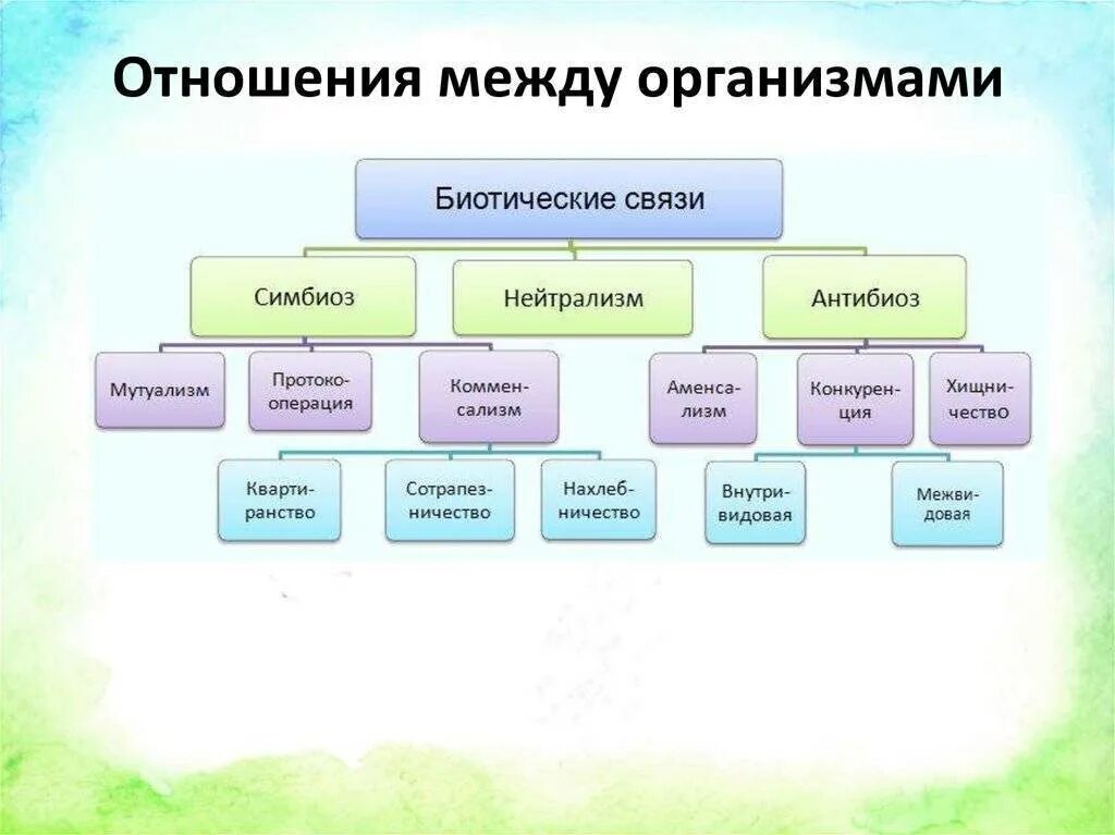 Виды взаимо. Типы взаимодействий между организмами. Схемы взаимодействия между организмами это. Взаимодействие между организмами примеры. Виды взаимоотношений между организмами схема.