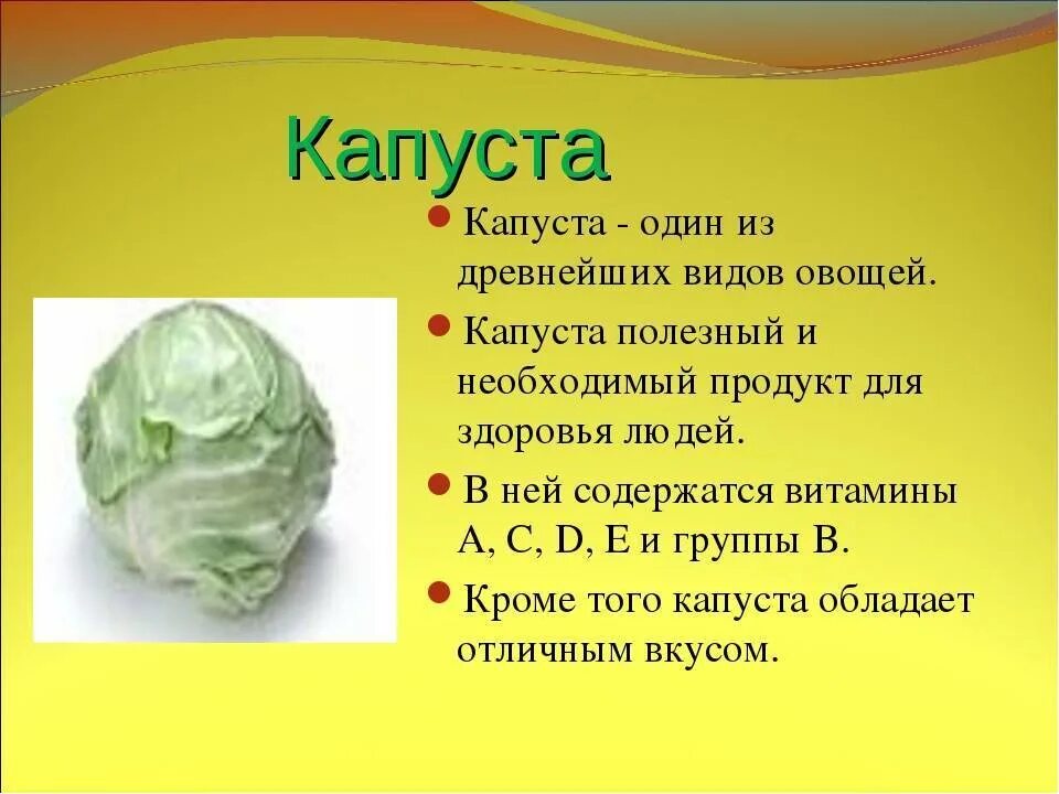 Чем полезна капуста. Полезные свойства капусты. Чем полезна капуста белокочанная. Для чего полезна капуста.