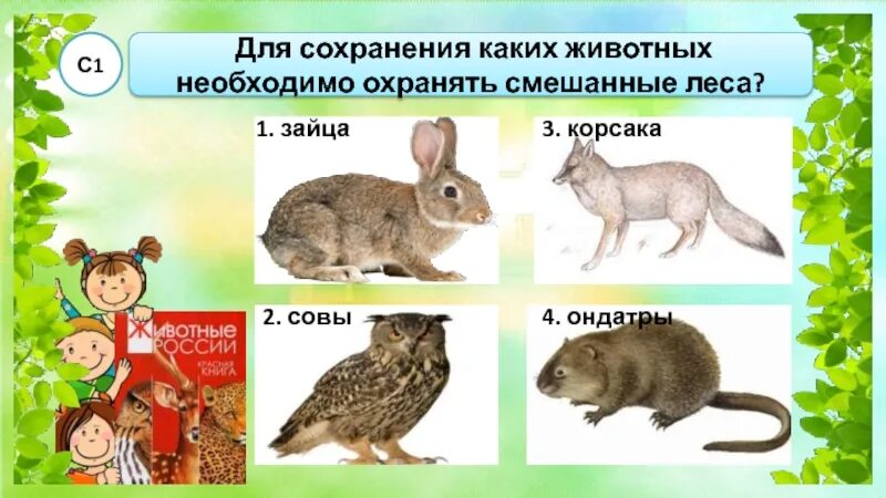 Охрана животных 3 класс окружающий мир тесты. Для сохранения каких животных необходимо охранять хвойные леса. каких животных охраняют. для сохранения каких животных надо охранять смешанные леса. охраняемые животные смешанных лесов.