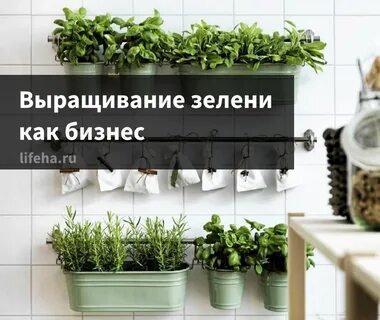 Выгодные растения