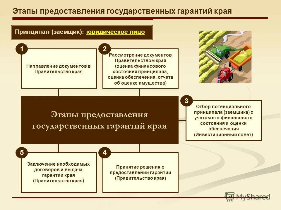 Государственные гарантии предоставляются. Предоставление государственных гарантий. Государственная гарантия пример. Принципал в государственной гарантии это. Гарантия заемщика.