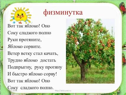 Физминутка овощи для дошкольников