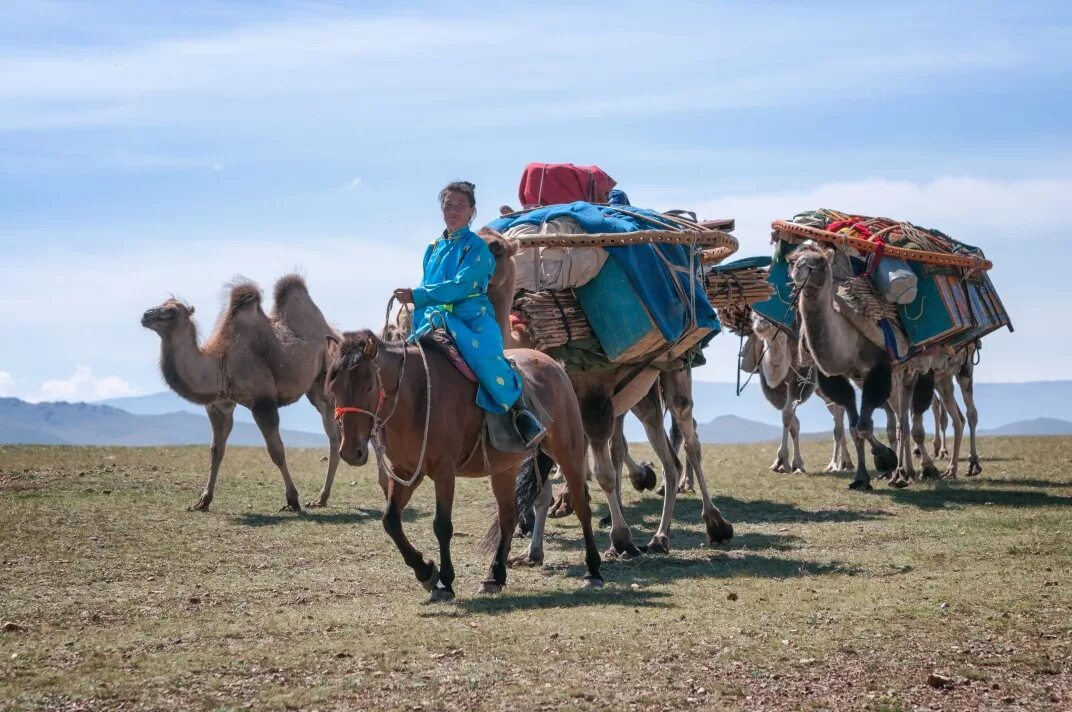 Караван кочевников Монголии. Верблюды в Монголии. Nomad в Монголии. Монгол на верблюде.