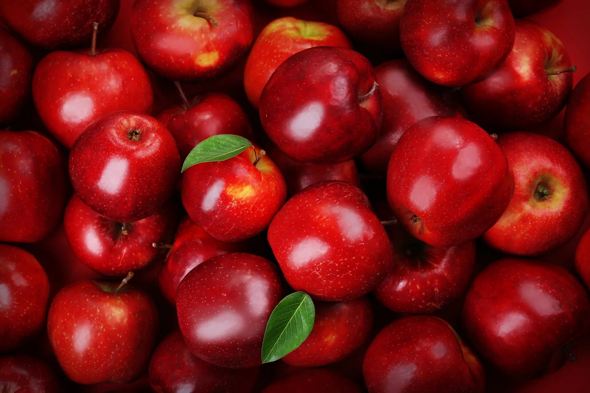 Apple turkey. Ред Делишес. Сорт яблок ред Делишес. Яблоко сорт ред крафт. Красивое красное яблоко.