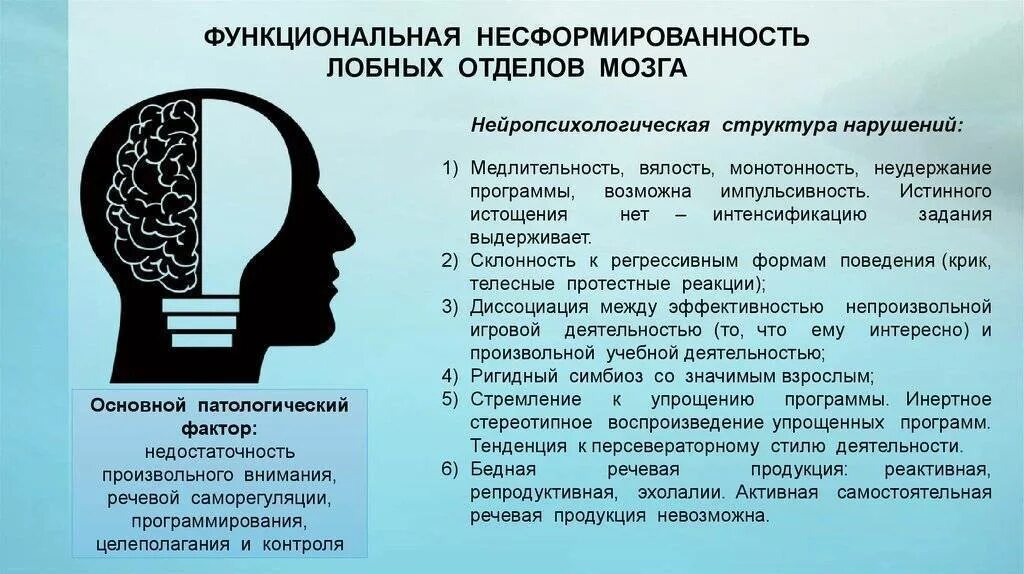 Основы работы мозга. Нарушение функций мозга. Несформированность лобных отделов мозга. Функциональная незрелость структур головного мозга. Нарушение структуры мозга у ребенка.