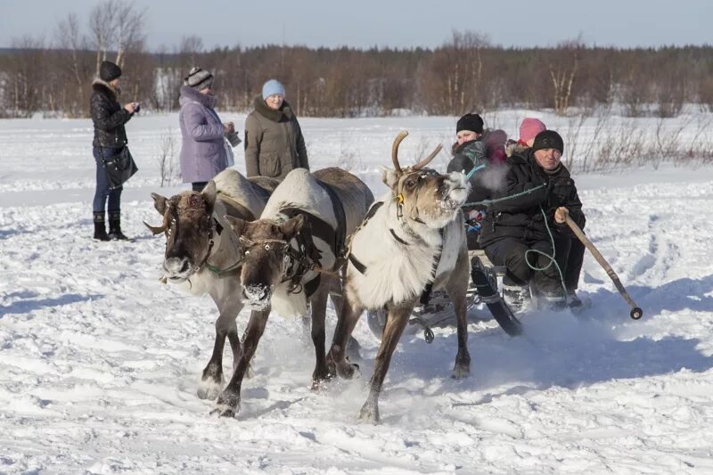 Погода в ловозере мурманской норвежский сайт