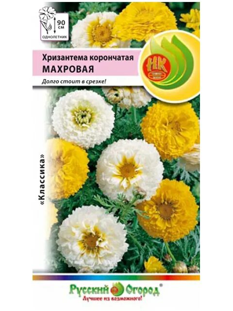 Хризантема корончатая махровая. Хризантема дунетти смесь махровая. Хризантема килеватая смесь. Хризантема махровая дунетти. Хризантема махровая смесь.