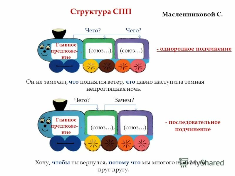 Строение спп. Строение спп