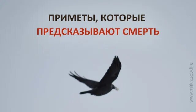 Суеверие умирающего