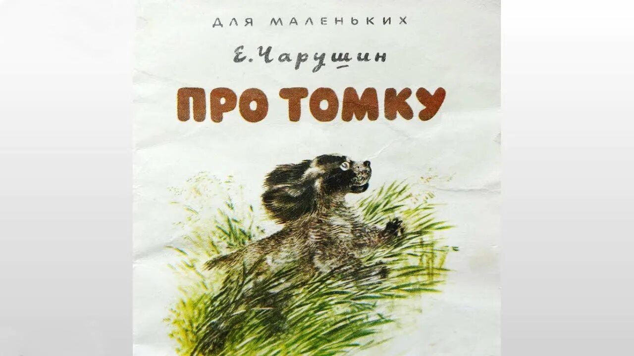 Аудиосказка про животных