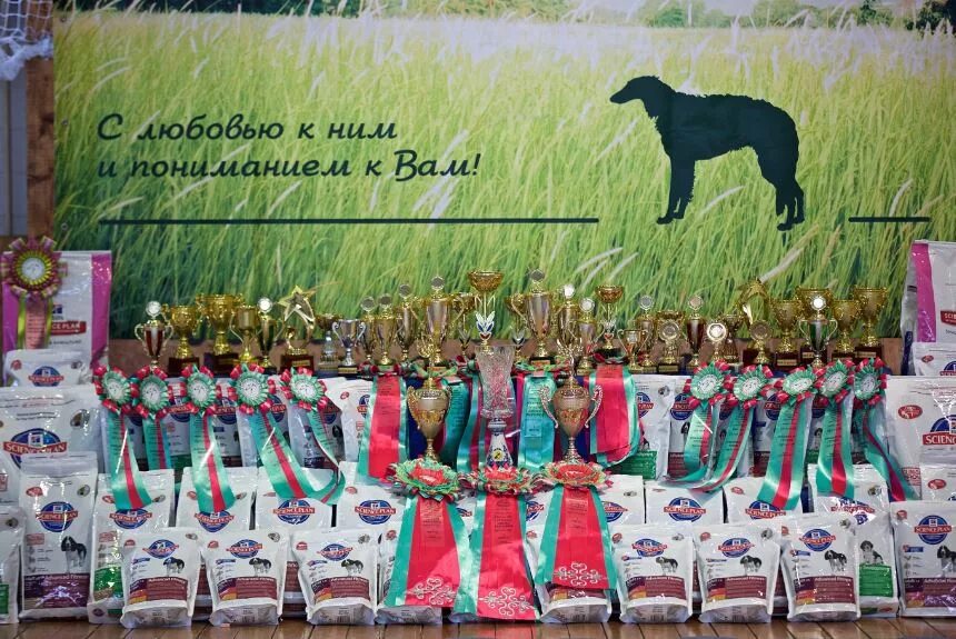 Выставка собак тверь. Победители собачьих выставок. Выставка собак зеленый парк. Спонсоры выставок собак.