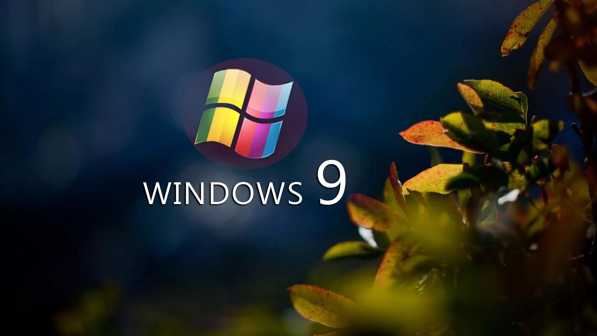 Windows 11 обои на рабочий стол. Обои Windows. Фон рабочего стола Windows 11. Тема для рабочего стола Windows 8. Обои на рабочий стол Windows 11.