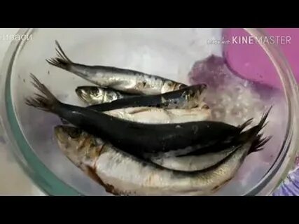 Домашний посол иваси