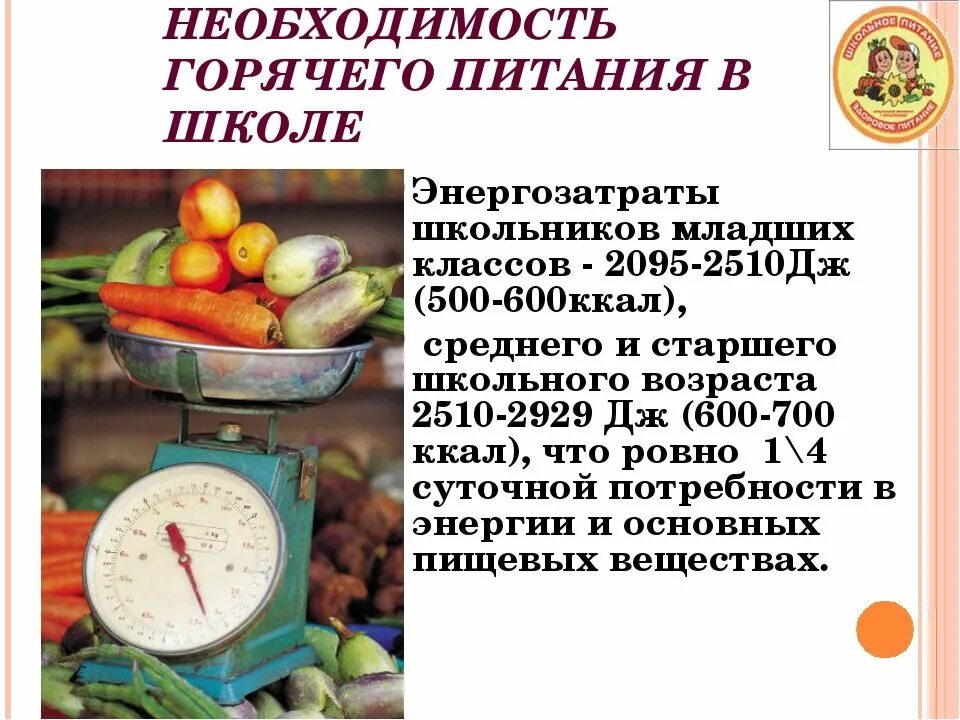 Основы школьного питания